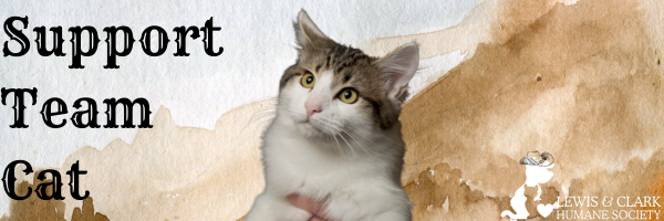 Join TEam Dog (2).png